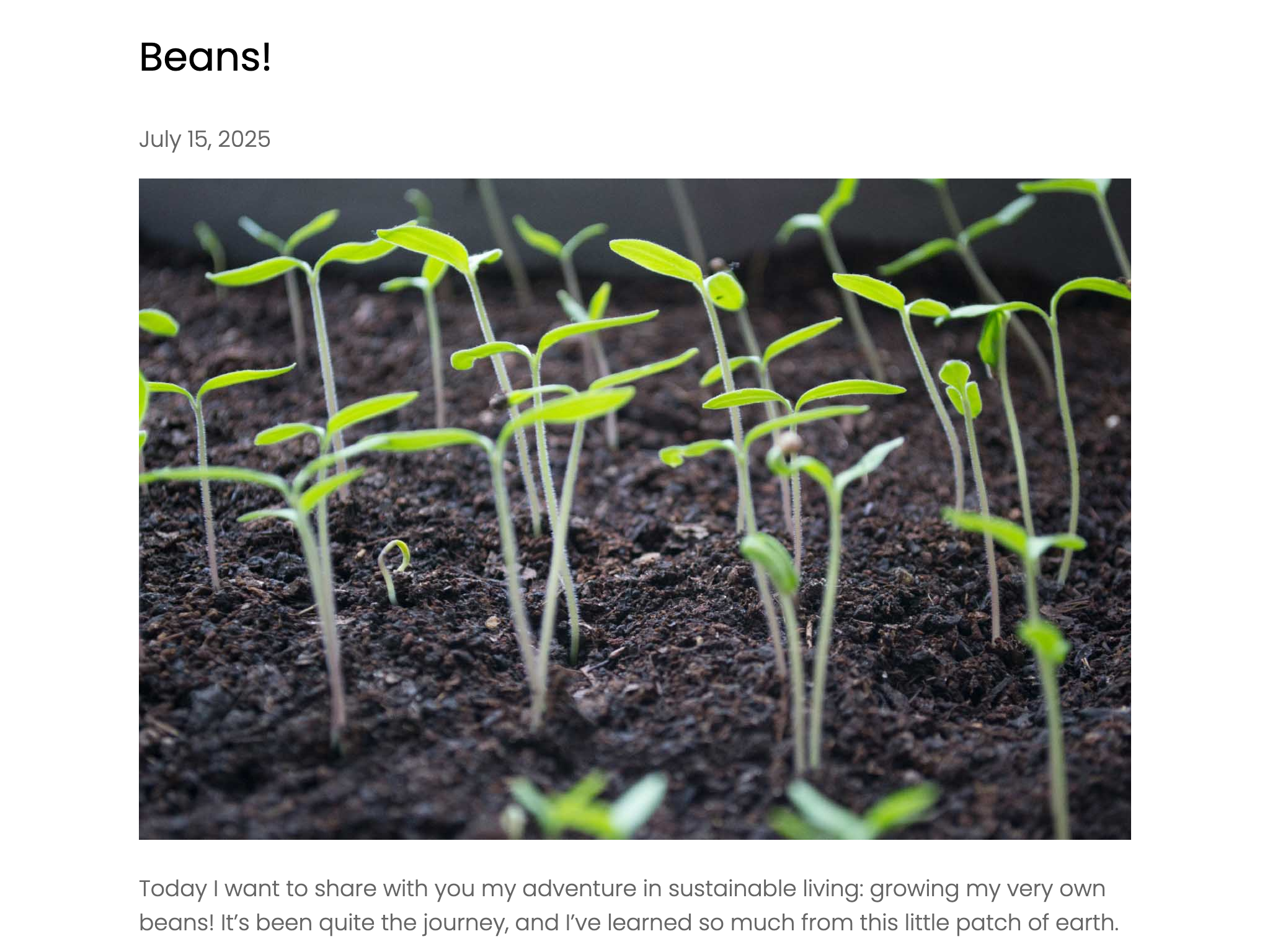 Blog post titled Beans with text adapted from Thoreau's Walden