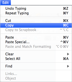 Microsoft Word Edit Menu
